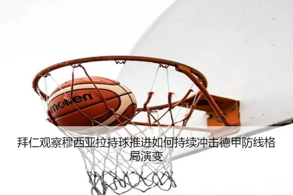 德国国家队主场恢复站席球票制度引热议